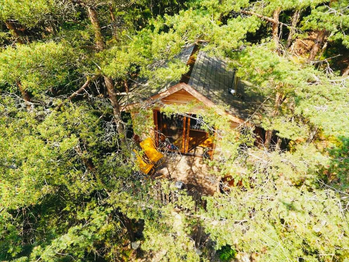 La-Haut Cabanes Perchees La Thuile 외부 사진